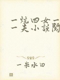 一炕四女一共侍一夫小说阅读