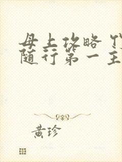 母上攻略 竹影随行第一主板