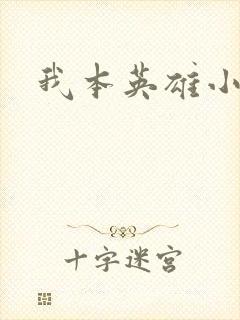 我本英雄小说
