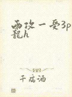 两攻一受3p双龙h
