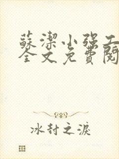 苏洁小强工地情全文免费阅读