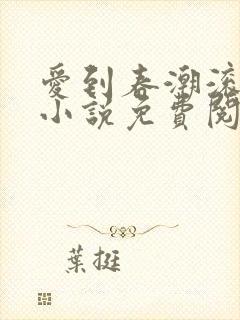 爱到春潮滚滚来小说免费阅读