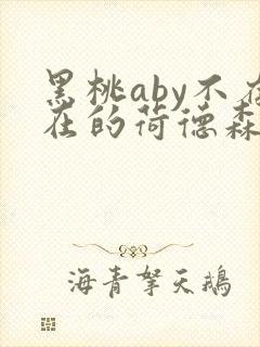 黑桃aby不存在的荷德森笔趣阁