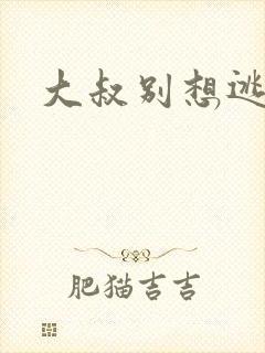大叔别想逃