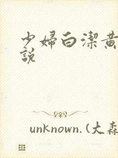 少妇白洁黄色小说