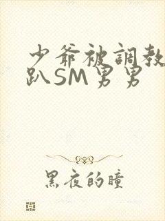 少爷被调教室跪趴SM男男