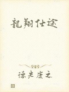 龙翔仕途