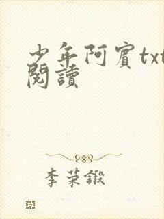 少年阿宾txt阅读