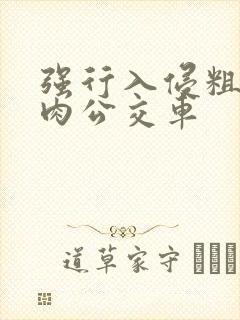 强行入侵粗暴h肉公交车