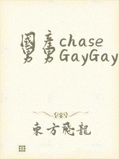 国产chase男男GayGay