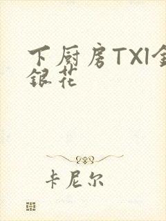 下厨房TXl金银花