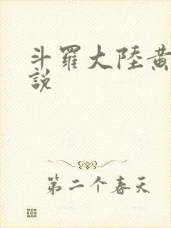 斗罗大陆黄色小说