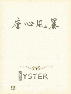 唐心风暴
