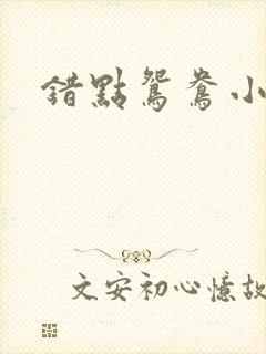 错点鸳鸯小说