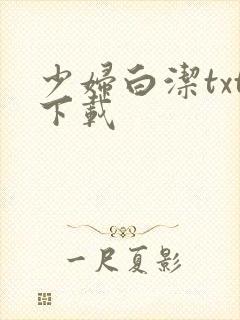 少妇白洁txt下载