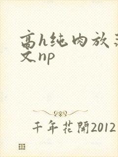 高h纯肉放荡h文np