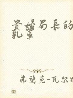 贵妇局长的蕾丝乳罩