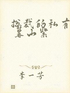 总裁的私有宝贝 暮山紫