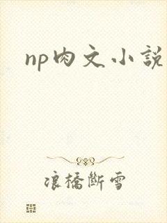 np肉文小说