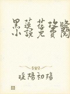 黑莲花攻略手册小说免费阅读