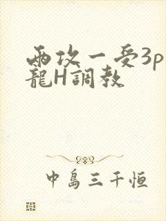 两攻一受3p双龙H调教
