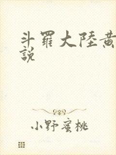 斗罗大陆黄色小说