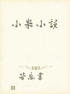 小米小说