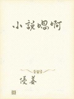 小说嗯啊