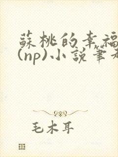 苏桃的幸福生活(np)小说笔趣阁沐沐