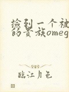 捡到一个被抹布的贵族omega