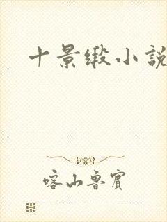 十景缎小说