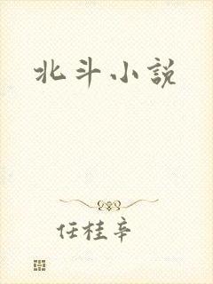 北斗小说