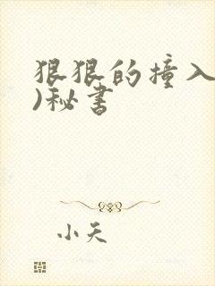 狠狠的撞入(h)秘书