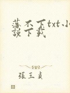 落不下txt小说下载