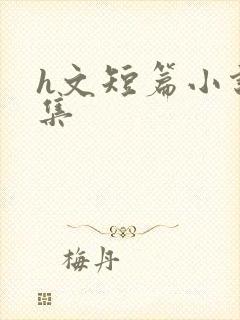 h文短篇小说合集