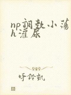 np调教小荡货h灌尿