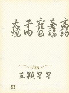 太子宠妾高肉红烧肉包讲的什么