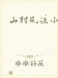 山村风流小说封面