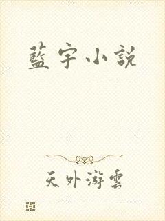蓝宇小说