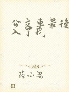 公交车最后一排入了我