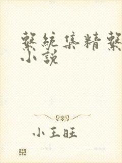 系统集精系统 小说