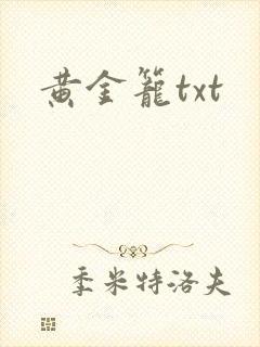 黄金笼txt