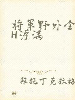 将军野外含公主H灌满