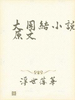 大团结小说阅读原文