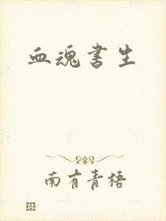 血魂书生