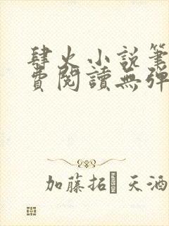 肆火小说笔趣免费阅读无弹窗