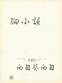 胸小说