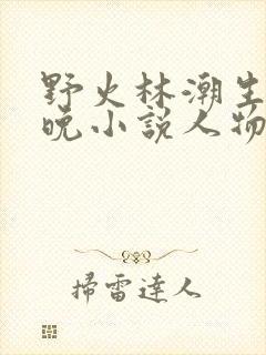 野火林潮生林晚晚小说人物野火