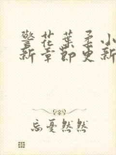 警花叶柔小说最新章节更新