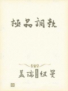 极品调教